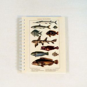 Notebook - Fishes