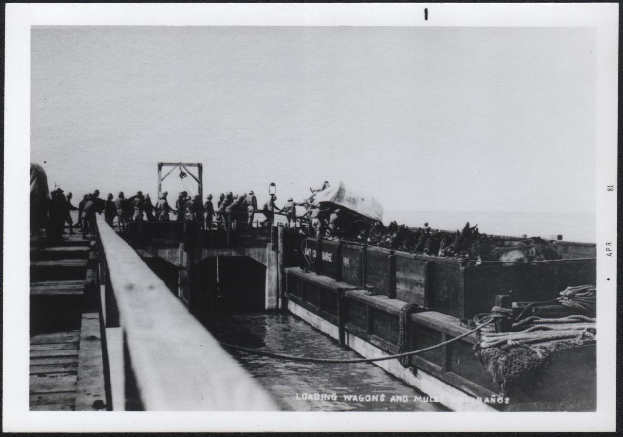 Loading Wagons and Mules, Los Baños [Laguna, P.I.]